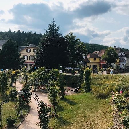 Le Belvedere - Gites Marck Turckheim Bagian luar foto